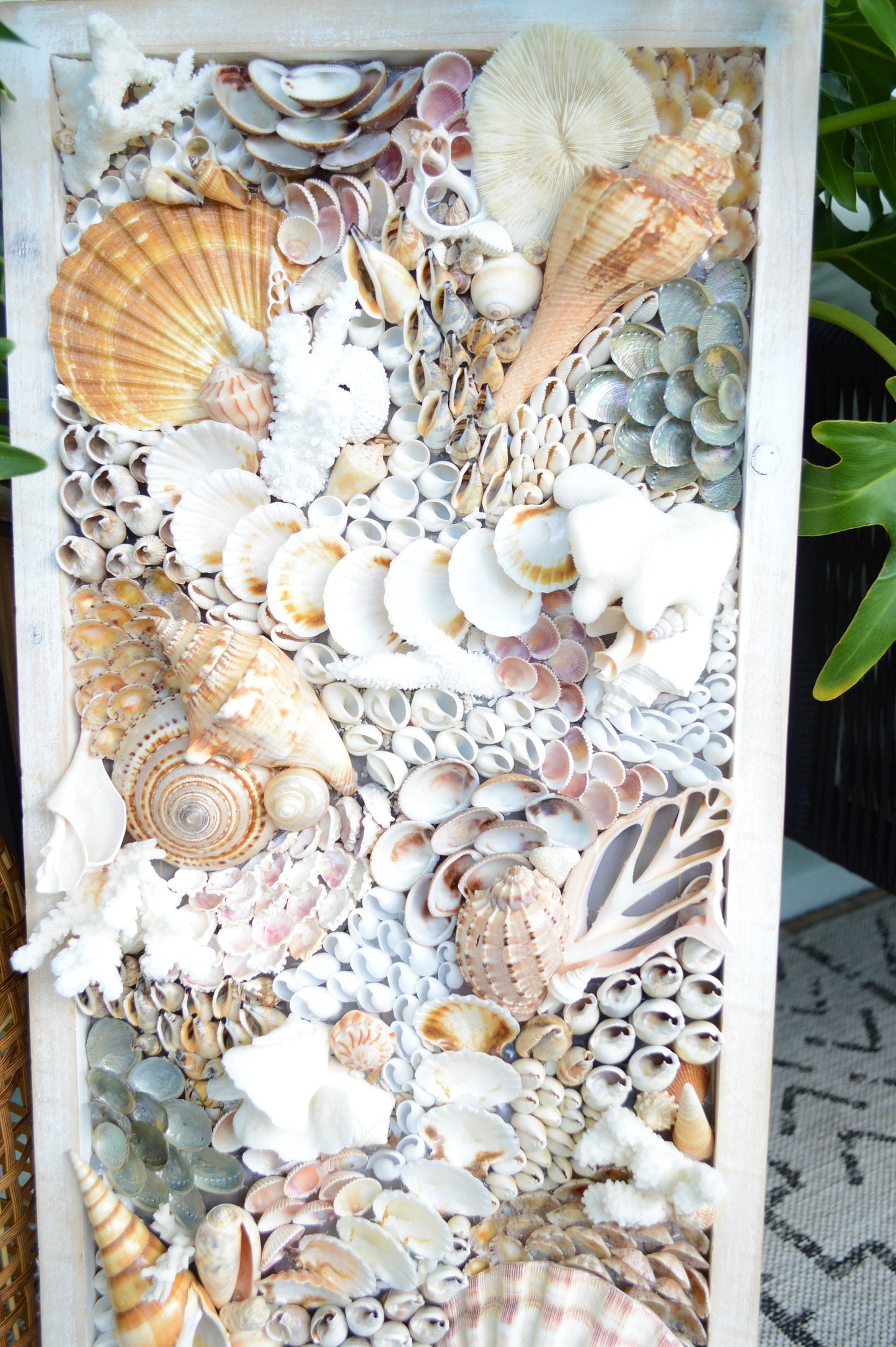 Handmade Sea Shell Coastal Wall Art 36x12" Modern Dimensional Seashell Collage Décor Urchins Coral Neutral Tones
