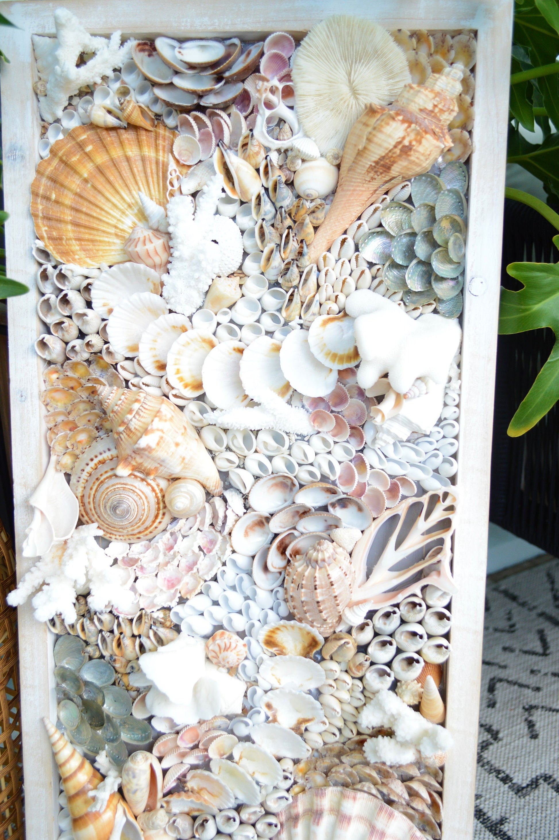 Handmade Sea Shell Coastal Wall Art 36x12" Modern Dimensional Seashell Collage Décor Urchins Coral Neutral Tones