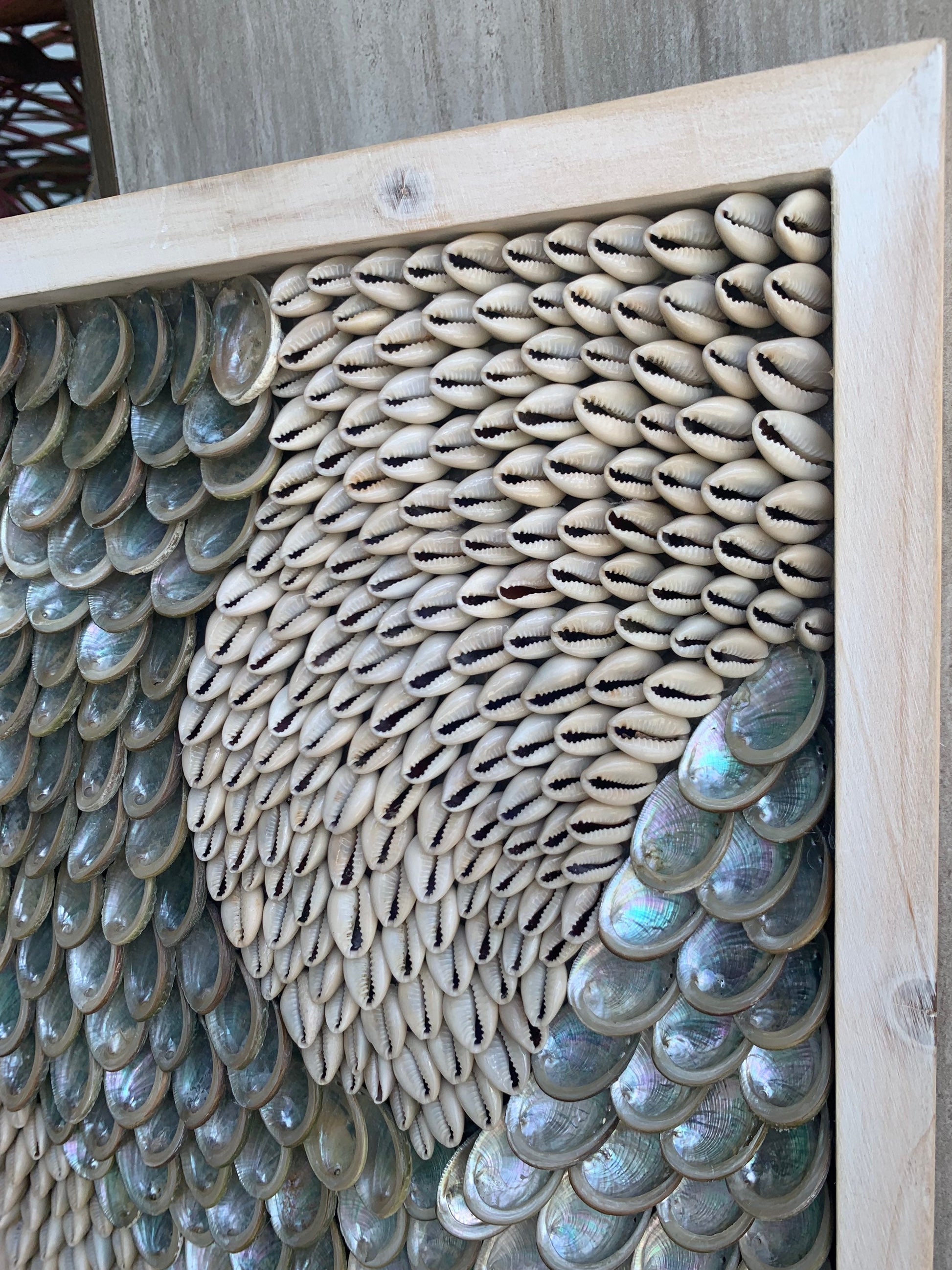 Minimalist Sea Shell Modern Coastal Wall 36x12" Art Framed Cowrie Abalone Seashells On Wood Textured Beach Hanging Beige Grey Silver