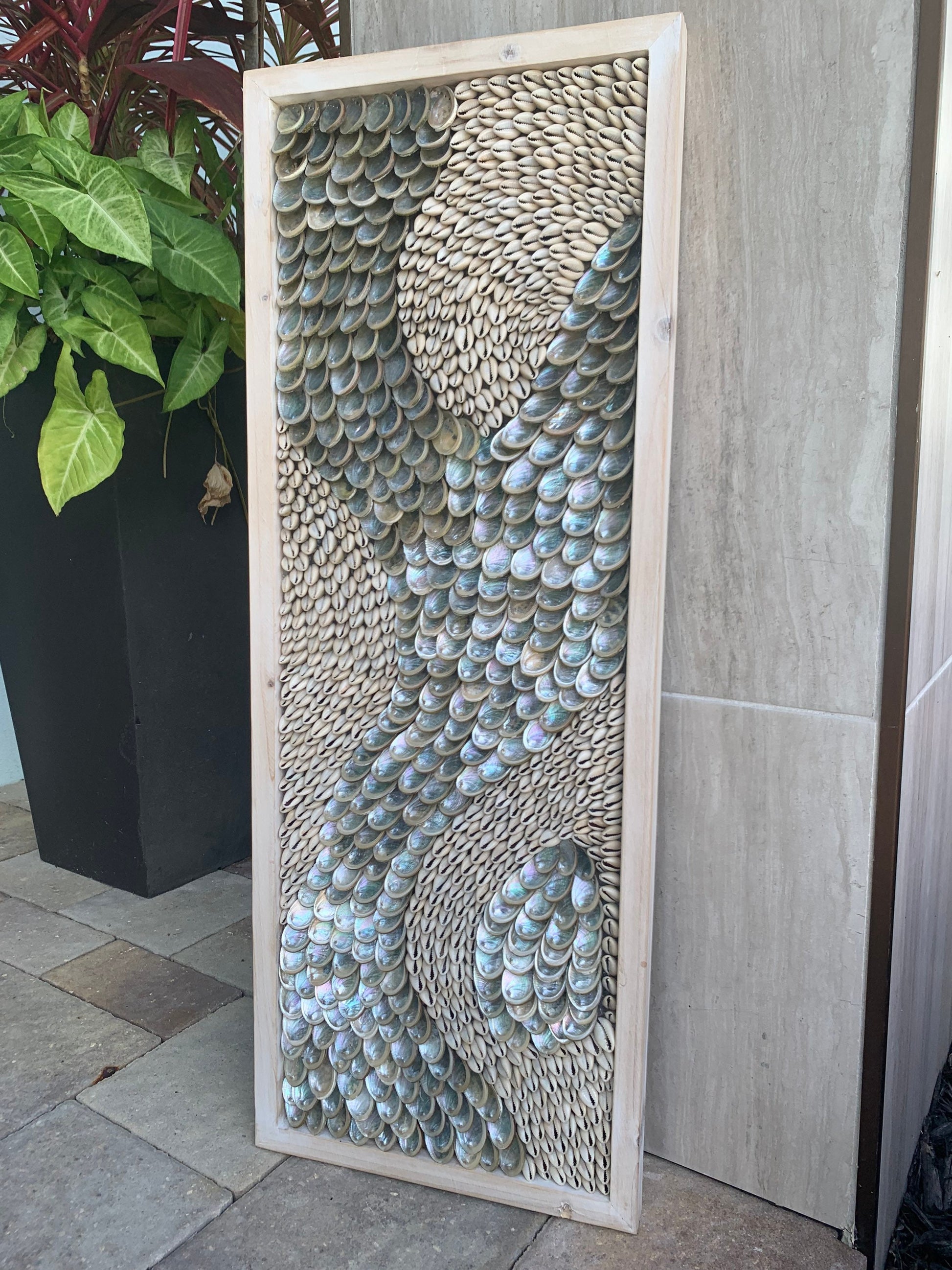 Minimalist Sea Shell Modern Coastal Wall 36x12" Art Framed Cowrie Abalone Seashells On Wood Textured Beach Hanging Beige Grey Silver