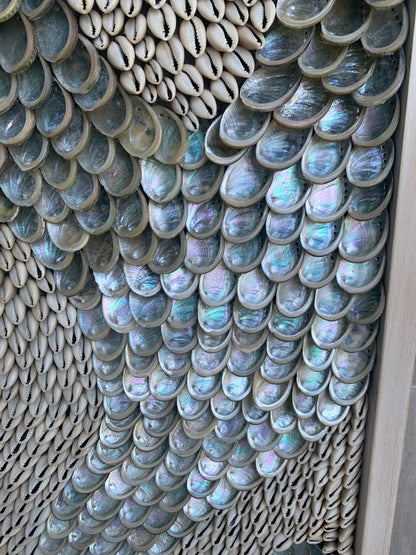 Minimalist Sea Shell Modern Coastal Wall 36x12" Art Framed Cowrie Abalone Seashells On Wood Textured Beach Hanging Beige Grey Silver