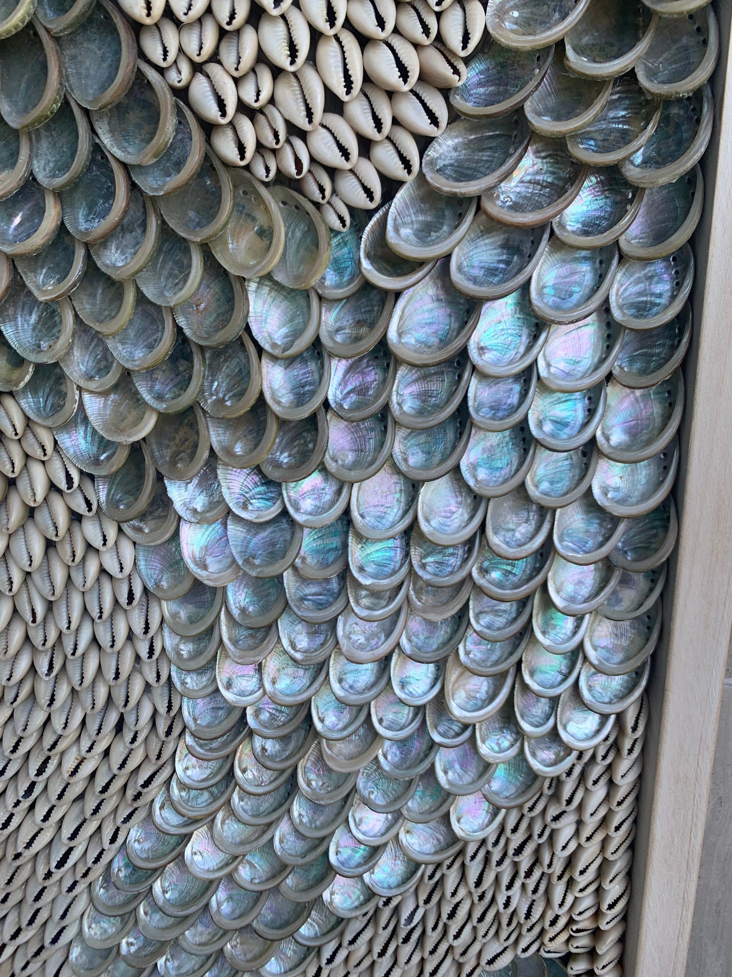 Minimalist Modern Coastal Shell Wall Art 36x12" Cowrie Abalone Silver Beige Décor