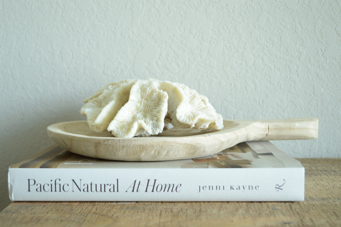 Genuine Sea BRAIN CORAL 7-10" Real Ocean Reef Aquarium Coastal Beach Ocean Décor Nautical Fossil Bone White