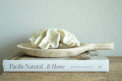 Genuine Sea BRAIN CORAL 7-10" Real Ocean Reef Aquarium Coastal Beach Ocean Décor Nautical Fossil Bone White