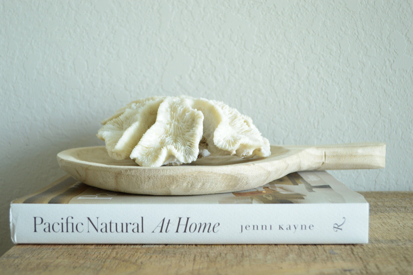 BRAIN Coral Off White All Sizes Authentic Natural Real Sea Fossil Coastal Décor Ocean Beach House Organic Sustainable Nature Art Aquarium