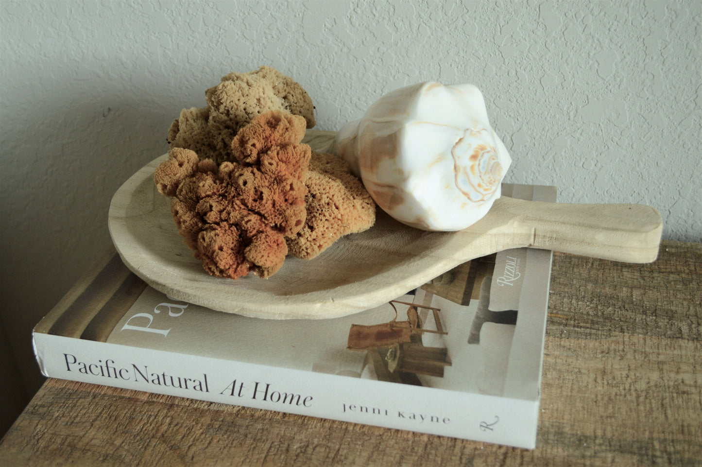 Natural Sea Sponges *You Choose Size* Brown Beach Coastal Home Décor Painting Craft Sponge