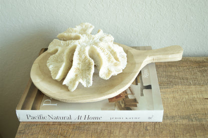 Genuine Sea BRAIN CORAL 7-10" Real Ocean Reef Aquarium Coastal Beach Ocean Décor Nautical Fossil Bone White