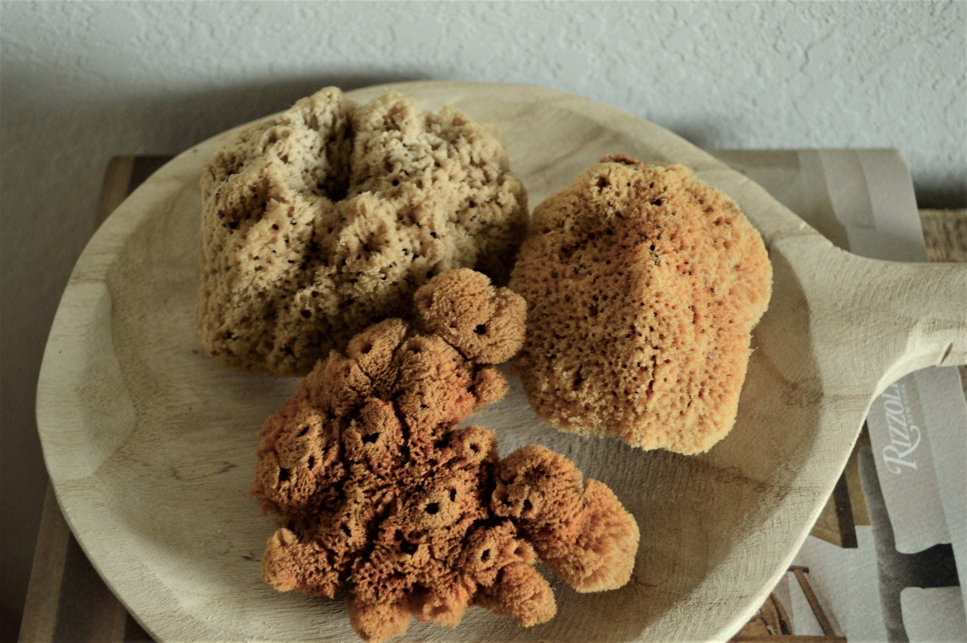 Natural Sea Sponges *You Choose Size* Brown Beach Coastal Home Décor Painting Craft Sponge