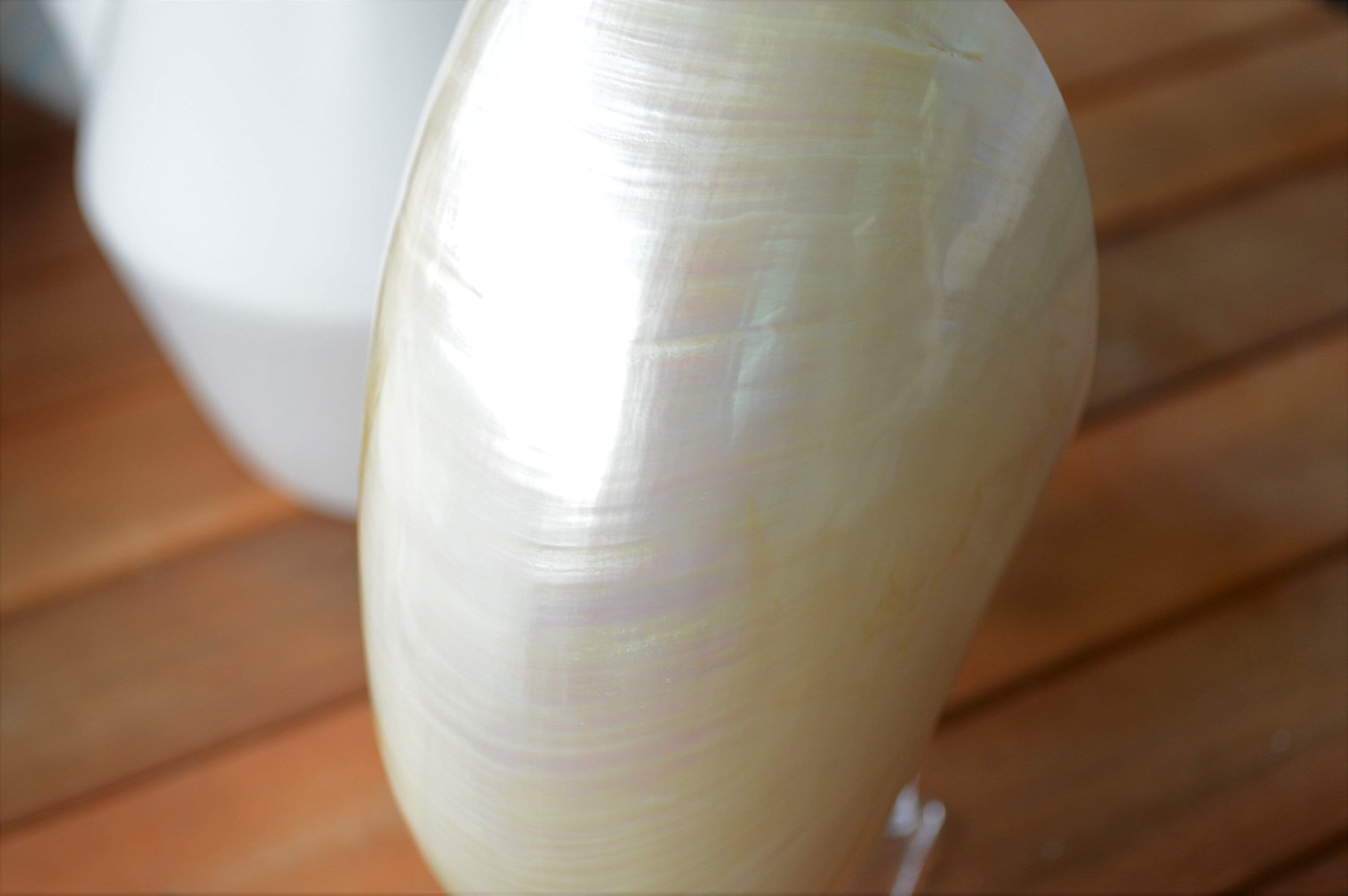 PEARLED NAUTILUS SHELLS *You Choose Size* Natural Display Shell Opal Iridescent Mermaid Décor