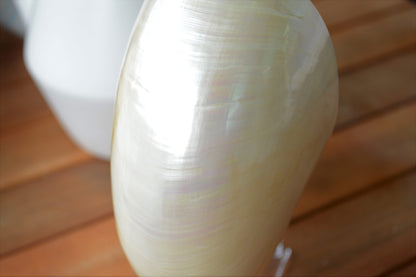 PEARLED NAUTILUS SHELLS *You Choose Size* Natural Display Shell Opal Iridescent Mermaid Décor