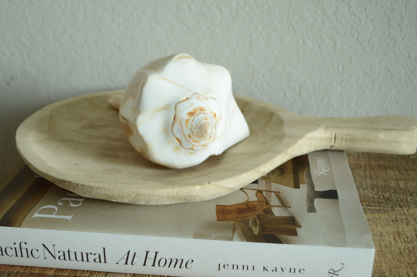 POLISHED LIGHTENING WHELK Conch Shell *All Sizes* Natural Shine Glass like Finish Display Seashell