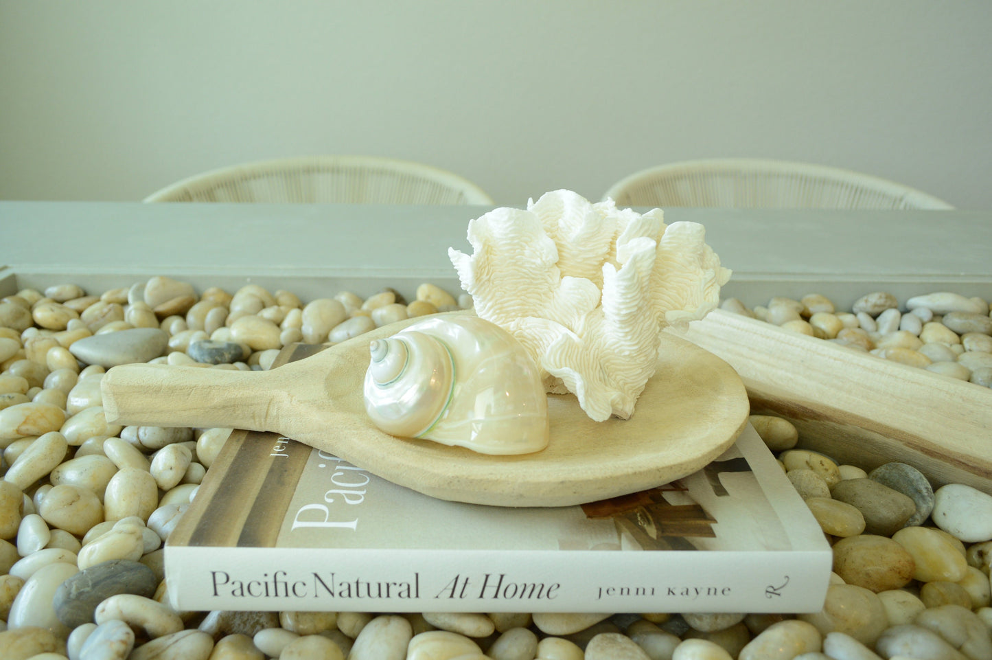 RUGOSA CORAL White *All Sizes* Authentic Natural Real Sea Fossil Coastal Décor