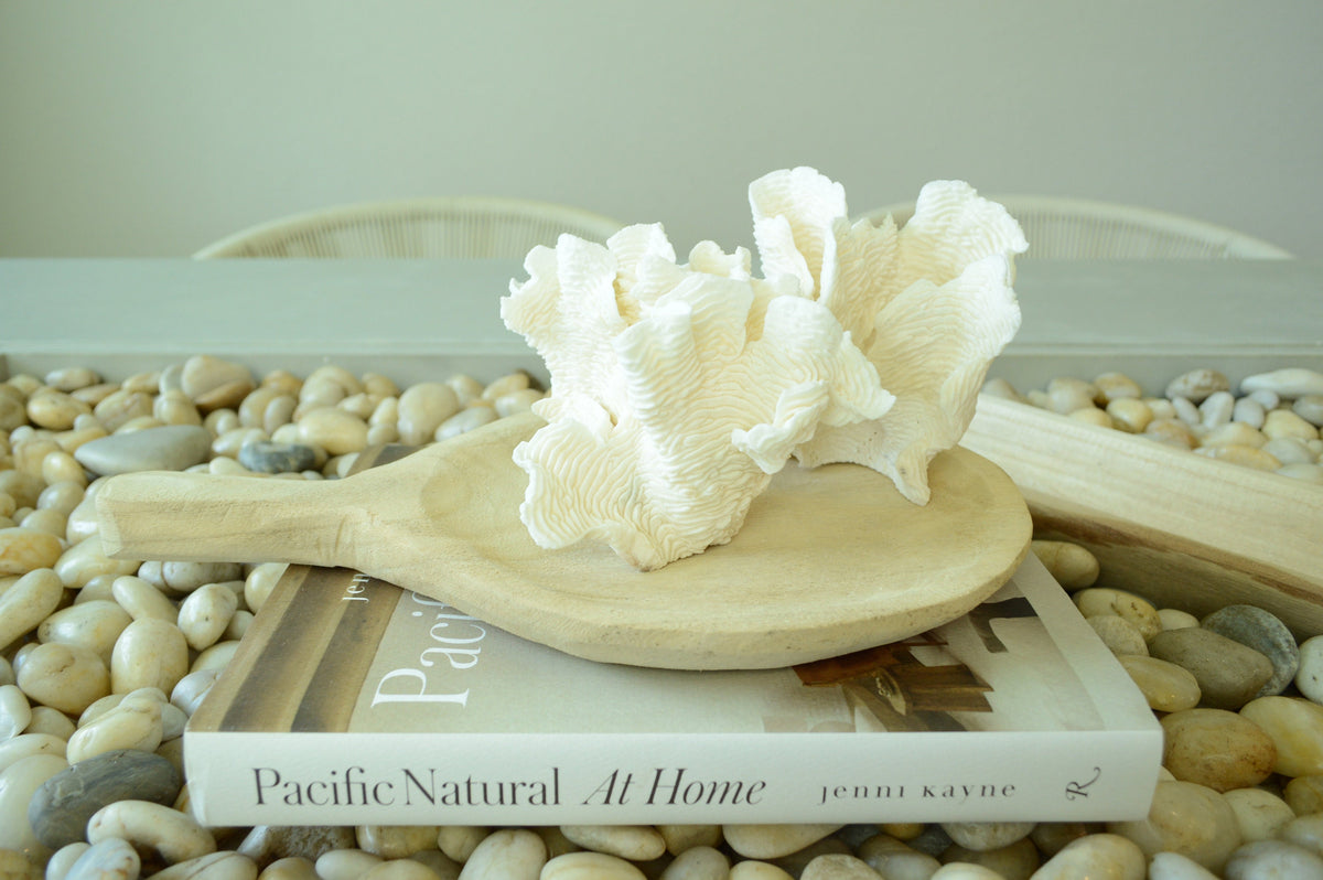 RUGOSA CORAL White *All Sizes* Authentic Natural Real Sea Fossil Coastal Décor