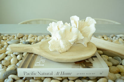 RUGOSA CORAL White *All Sizes* Authentic Natural Real Sea Fossil Coastal Décor