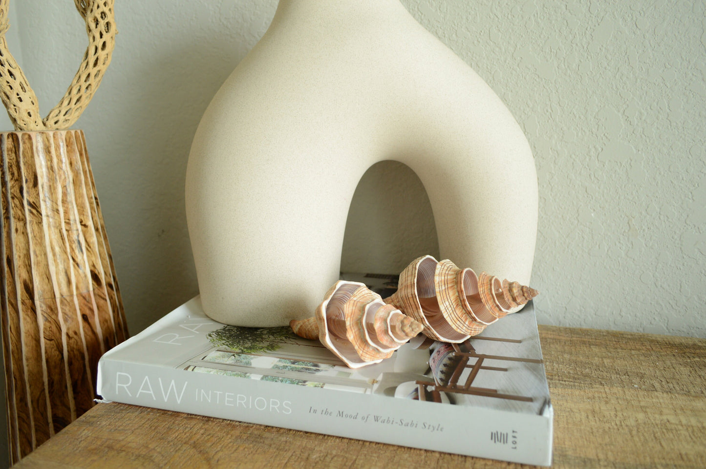 SPIRAL CUT FOX Shells *All Sizes* Natural Brown Striped Display Seashell Beach Coastal Décor