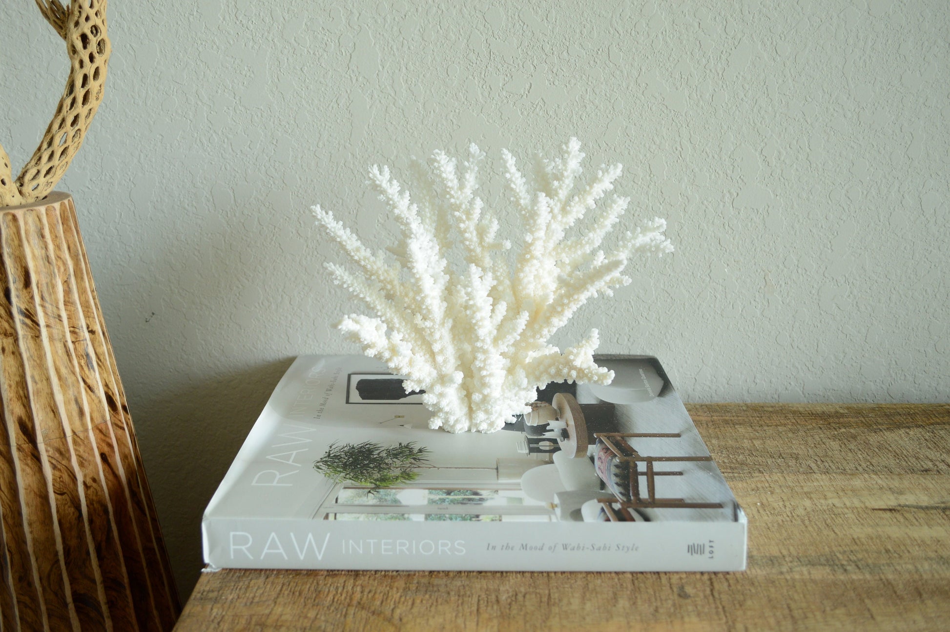 BRANCH CORAL White *All Sizes* Authentic Natural Real Sea Fossil Coastal Décor Ocean Beach House Organic Sustainable Nature Art Showpiece