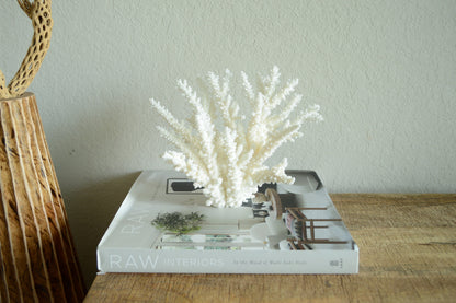 BRANCH CORAL White *All Sizes* Authentic Natural Real Sea Fossil Coastal Décor Ocean Beach House Organic Sustainable Nature Art Showpiece