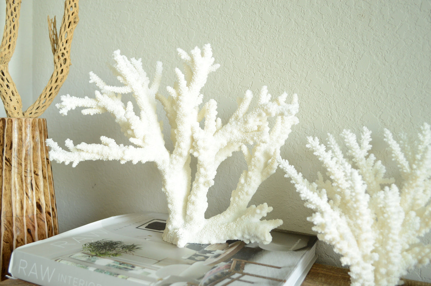Genuine Sea BRANCH CORAL *You choose size* Ocean Reef Aquarium Coastal Beach Home Décor Nautical