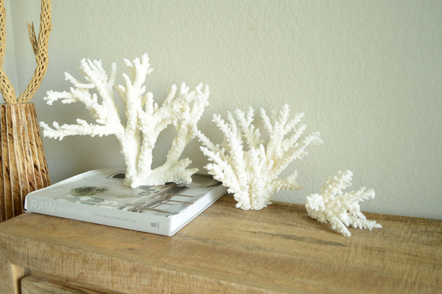 Genuine Sea BRANCH CORAL *You choose size* Ocean Reef Aquarium Coastal Beach Home Décor Nautical