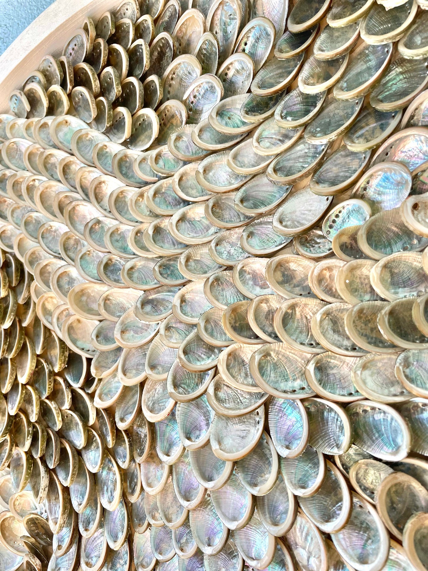 Handmade Modern Coastal Shell Wall Art Natural Textured Abalone Seashells 24" Round Beach House Décor White Silver