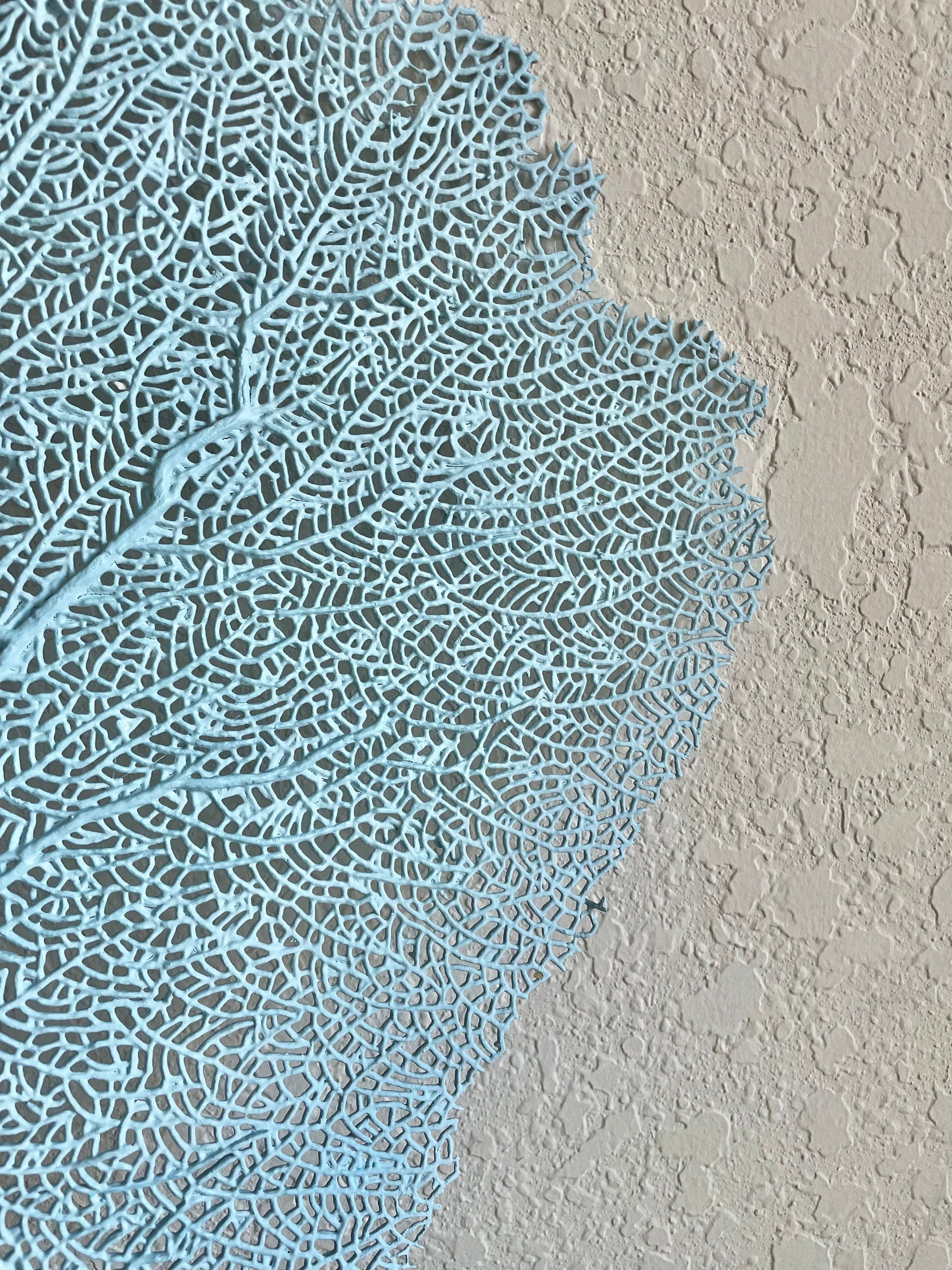 Natural Dried Real Sea Fans Painted LIGHT BLUE 8-20" You Choose Size Ocean Reef Decoration Natural Beach Coastal Décor Display