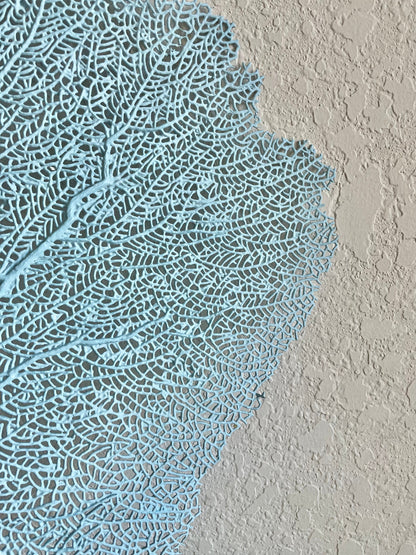 Natural Dried Real Sea Fans Painted LIGHT BLUE 8-20" You Choose Size Ocean Reef Decoration Natural Beach Coastal Décor Display