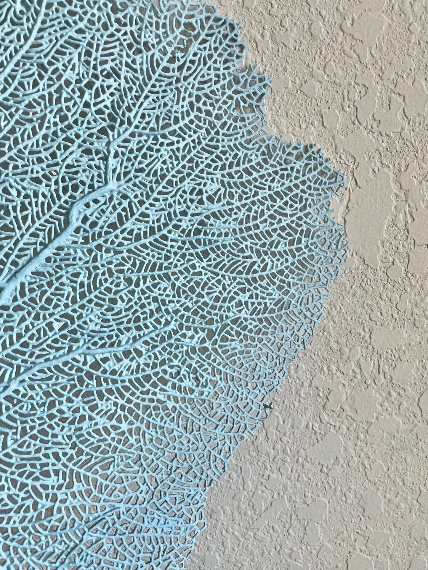 Natural Dried Real Sea Fans Painted LIGHT BLUE 8-20" You Choose Size Ocean Reef Decoration Natural Beach Coastal Décor Display