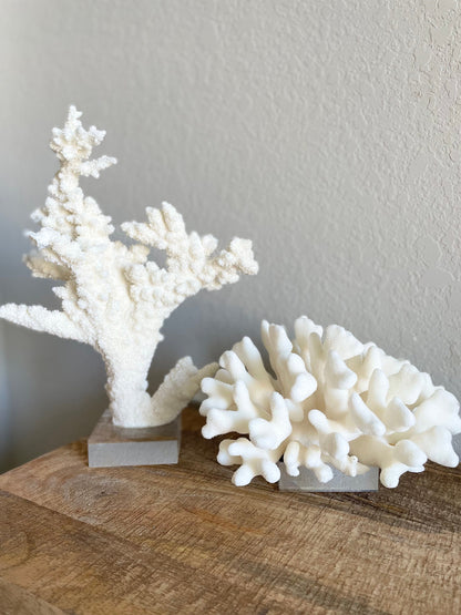 Genuine Sea BRANCH CORAL *You choose size* Ocean Reef Aquarium Coastal Beach Home Décor Nautical
