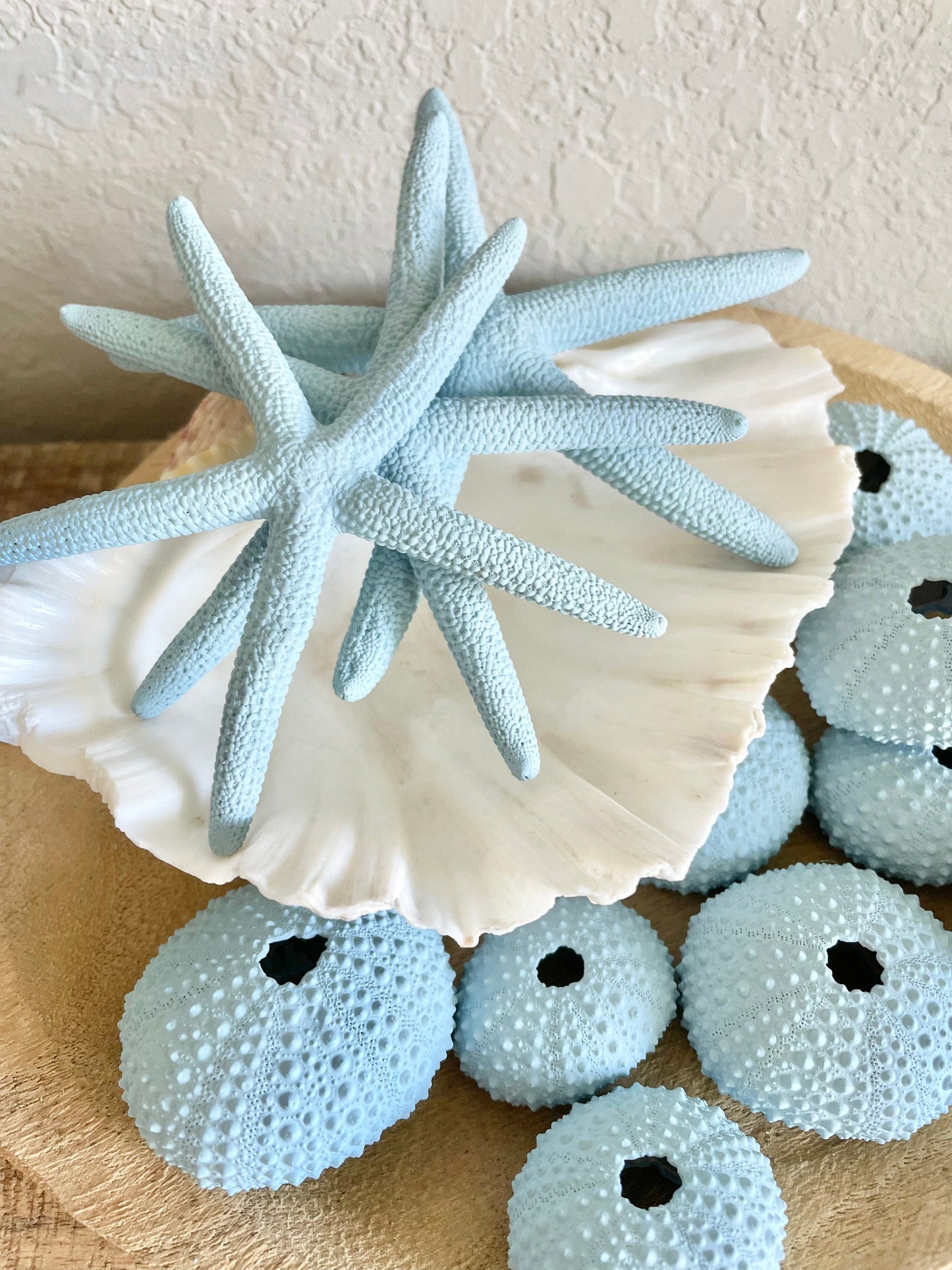 Natural Dried Real Sea Fans Painted LIGHT BLUE 8-20" You Choose Size Ocean Reef Decoration Natural Beach Coastal Décor Display