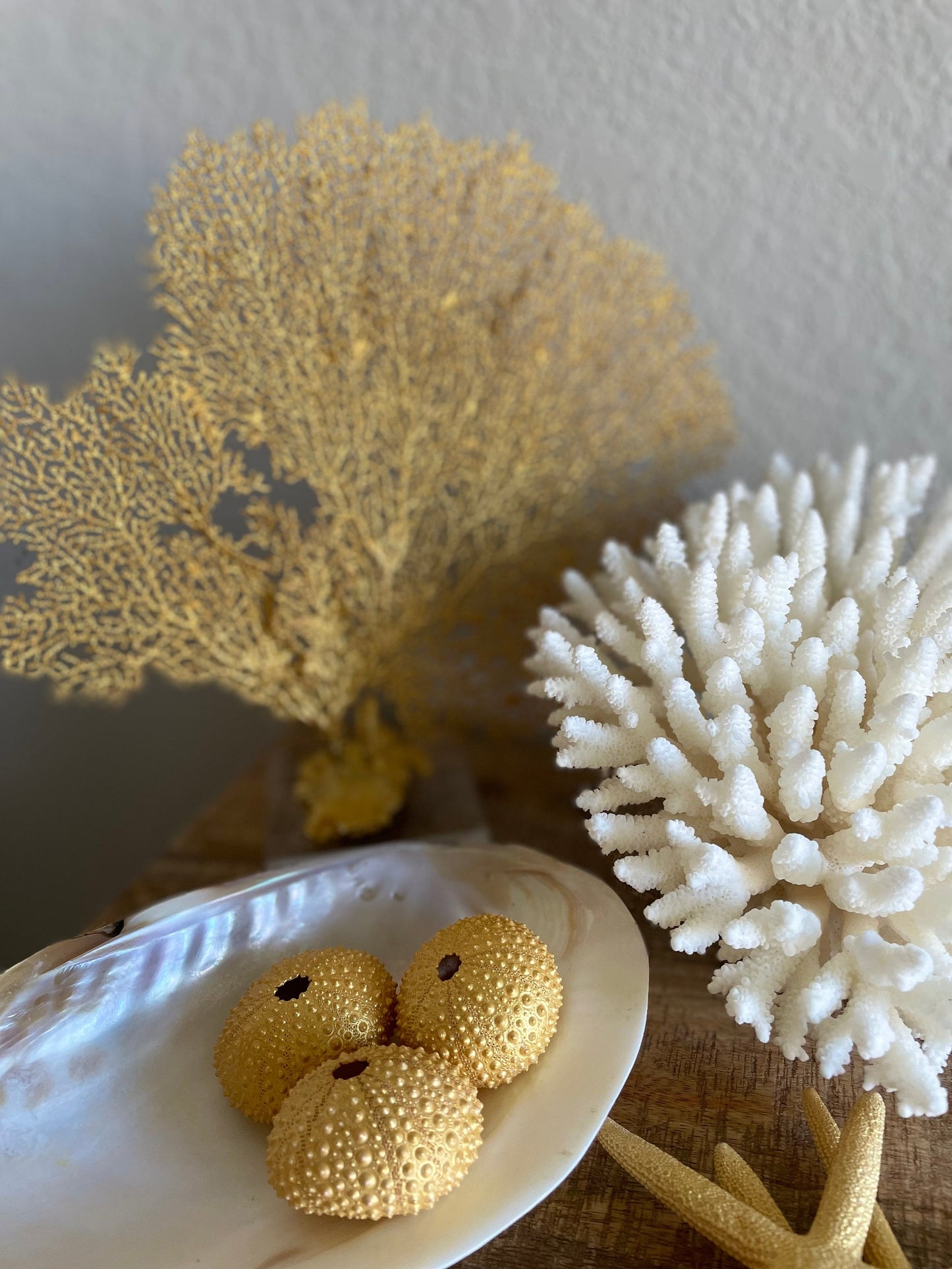 Gold Sea Fan 10-16" *You Choose Size* Natural Hand Painted Coastal Décor