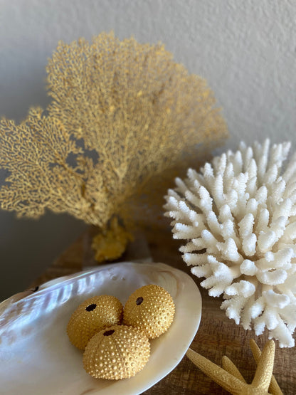 Gold Sea Fan 10-16" *You Choose Size* Natural Hand Painted Coastal Décor