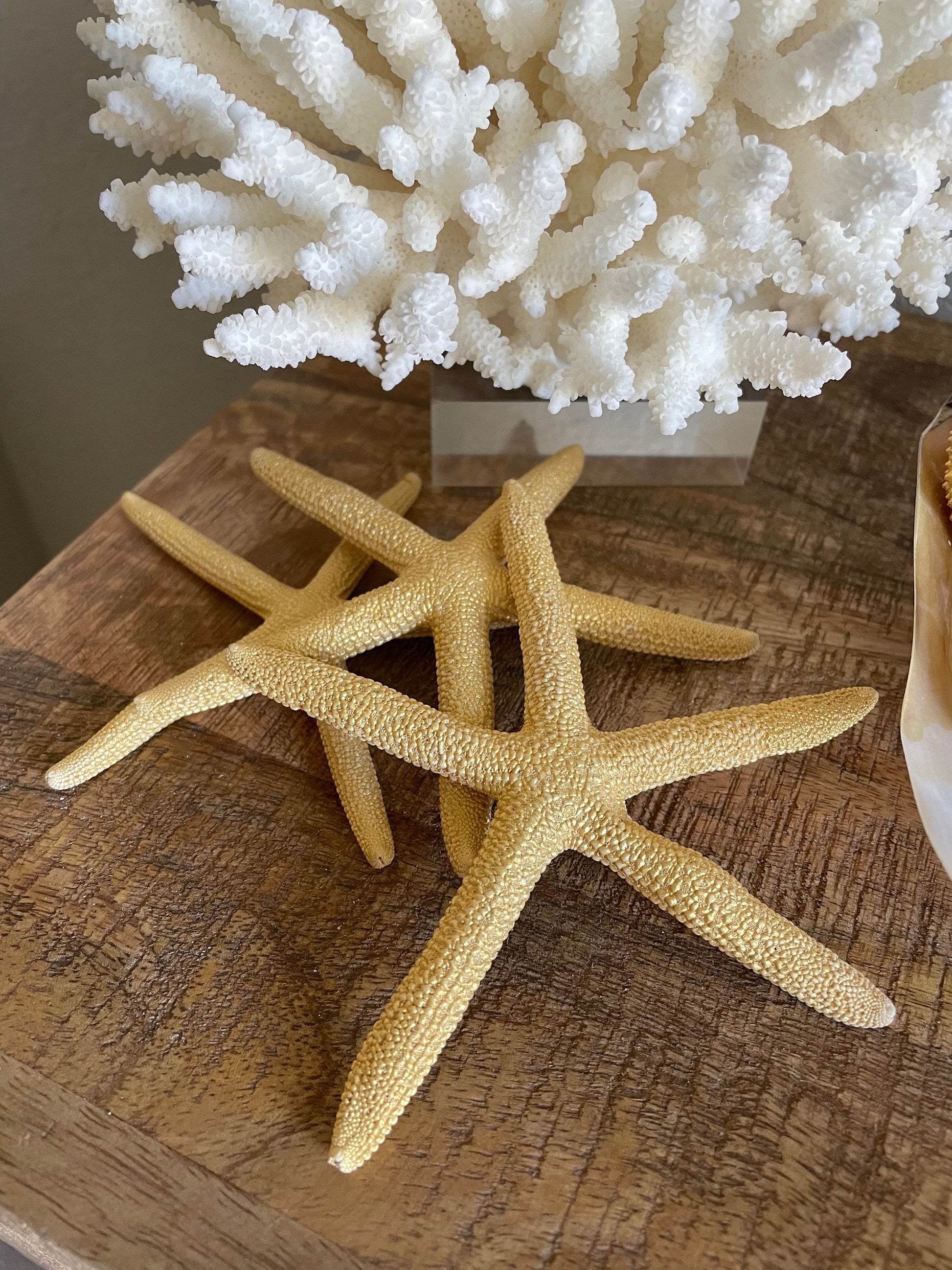 Natural Dried Real Sea Fans Painted GOLD 8-20" You Choose Size Ocean Reef Decoration Natural Beach Coastal Décor Display