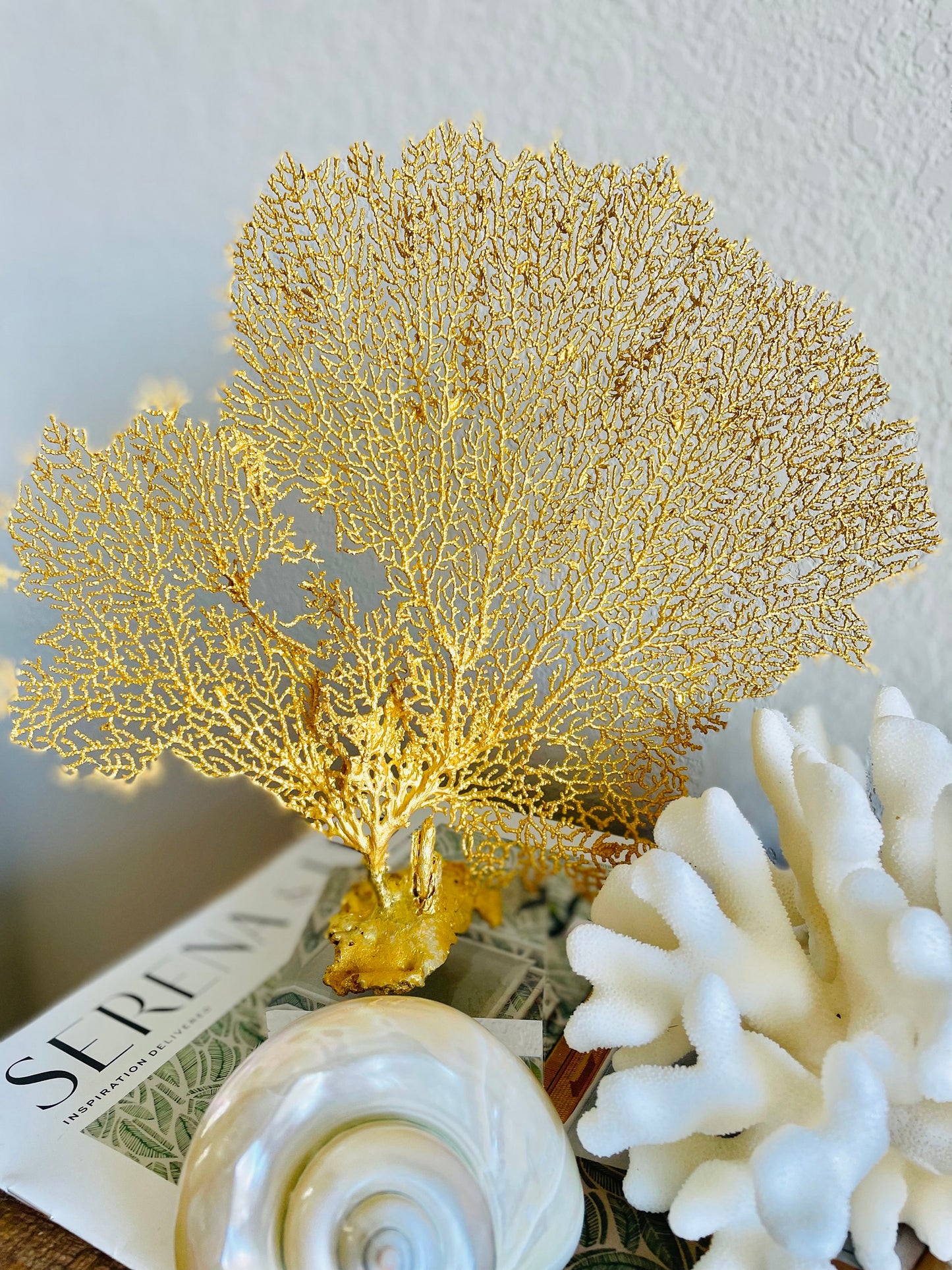 Natural Dried Real Sea Fans Painted GOLD 8-20" You Choose Size Ocean Reef Decoration Natural Beach Coastal Décor Display