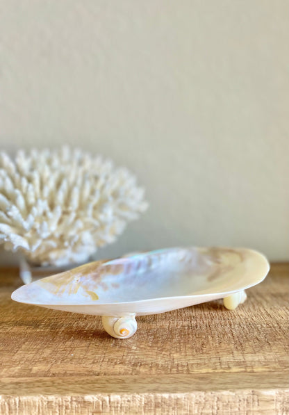 REAL Mother of Pearl 7-8" Irredescent Giant Mussel Decorative Bowl Seashell Footed Jewelry Dish Beach Table Coastal Décor Clam Gift