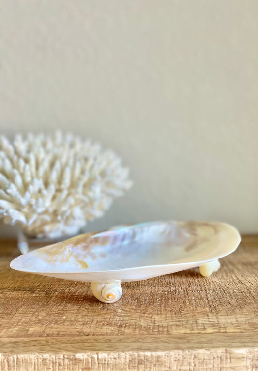 Mother of Pearl Footed Mussel Dish 7-8" Iridescent Seashell, Coastal Décor
