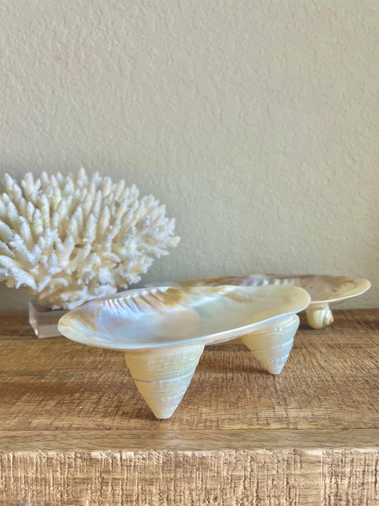 Mother of Pearl Footed Mussel Dish 7-8" Iridescent Seashell, Coastal Décor