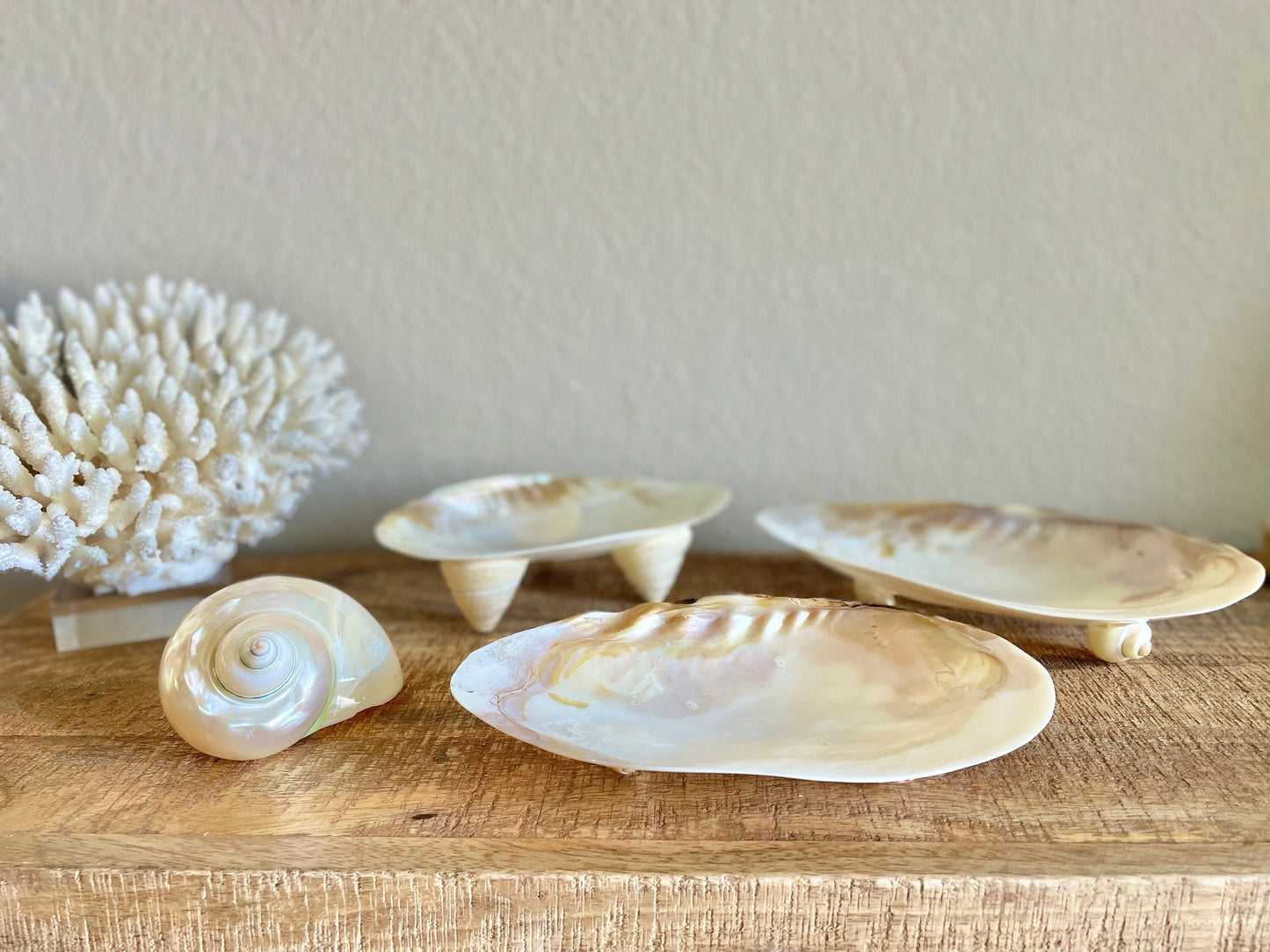 REAL Mother of Pearl 7-8" Irredescent Giant Mussel Decorative Bowl Seashell Footed Jewelry Dish Beach Table Coastal Décor Clam Gift