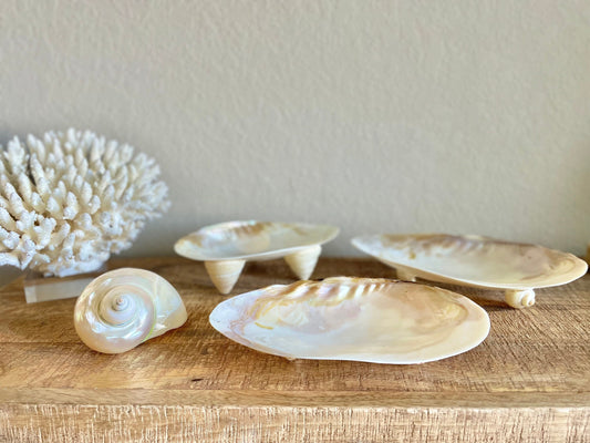 REAL Mother of Pearl 7-8" Irredescent Giant Mussel Decorative Bowl Seashell Footed Jewelry Dish Beach Table Coastal Décor Clam Gift