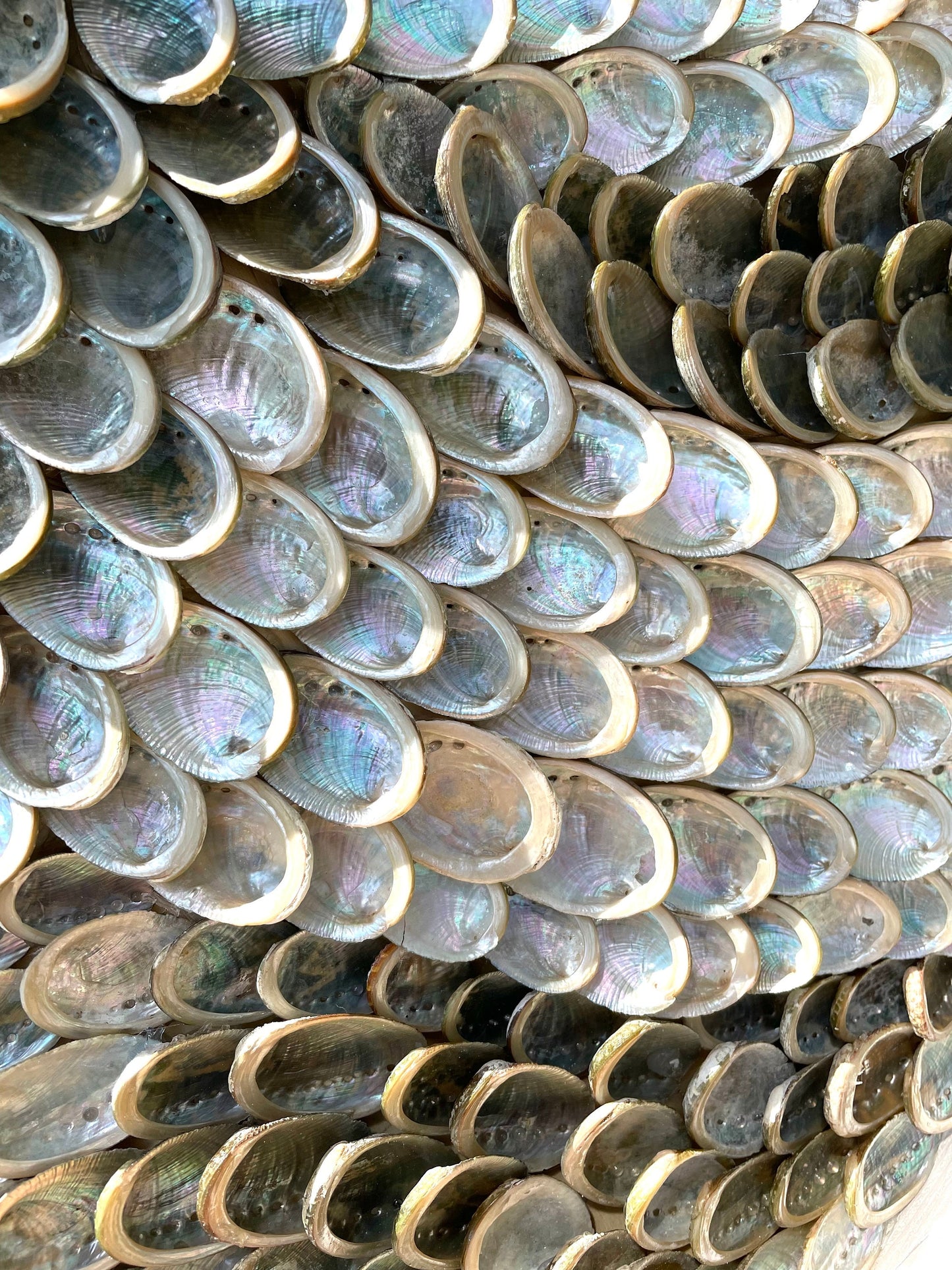 Handmade Modern Coastal Shell Wall Art Natural Textured Abalone Seashells 24" Round Beach House Décor White Silver