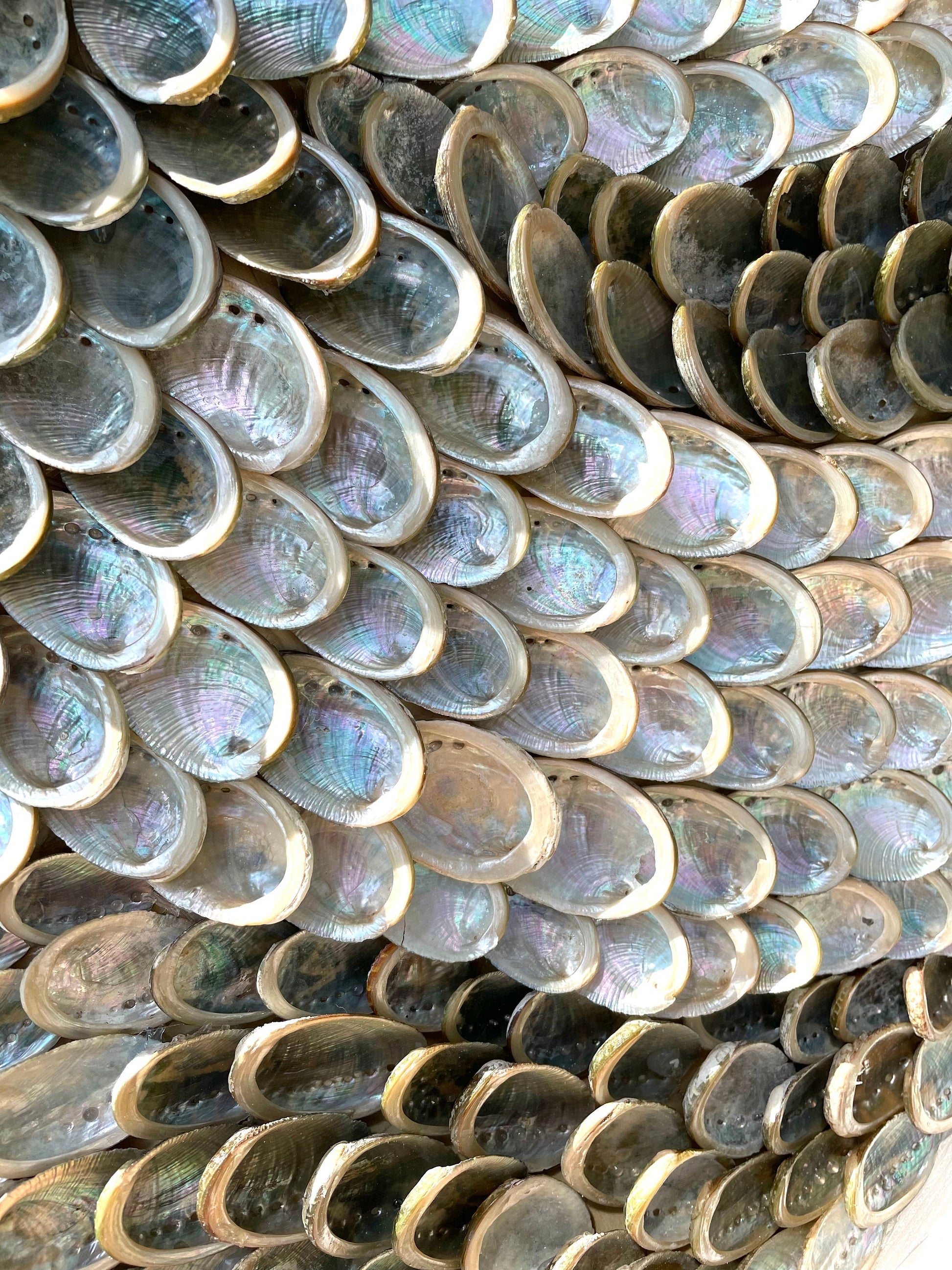 Handmade Modern Coastal Shell Wall Art Natural Textured Abalone Seashells 24" Round Beach House Décor White Silver