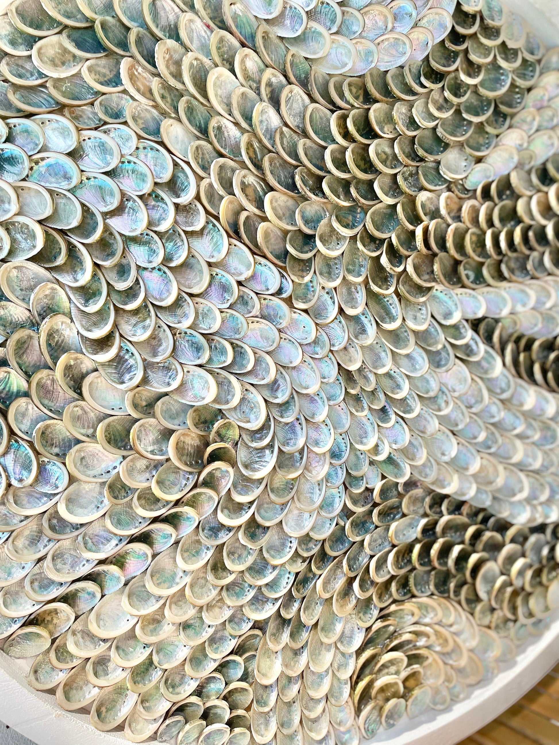 Handmade Modern Coastal Shell Wall Art Natural Textured Abalone Seashells 24" Round Beach House Décor White Silver