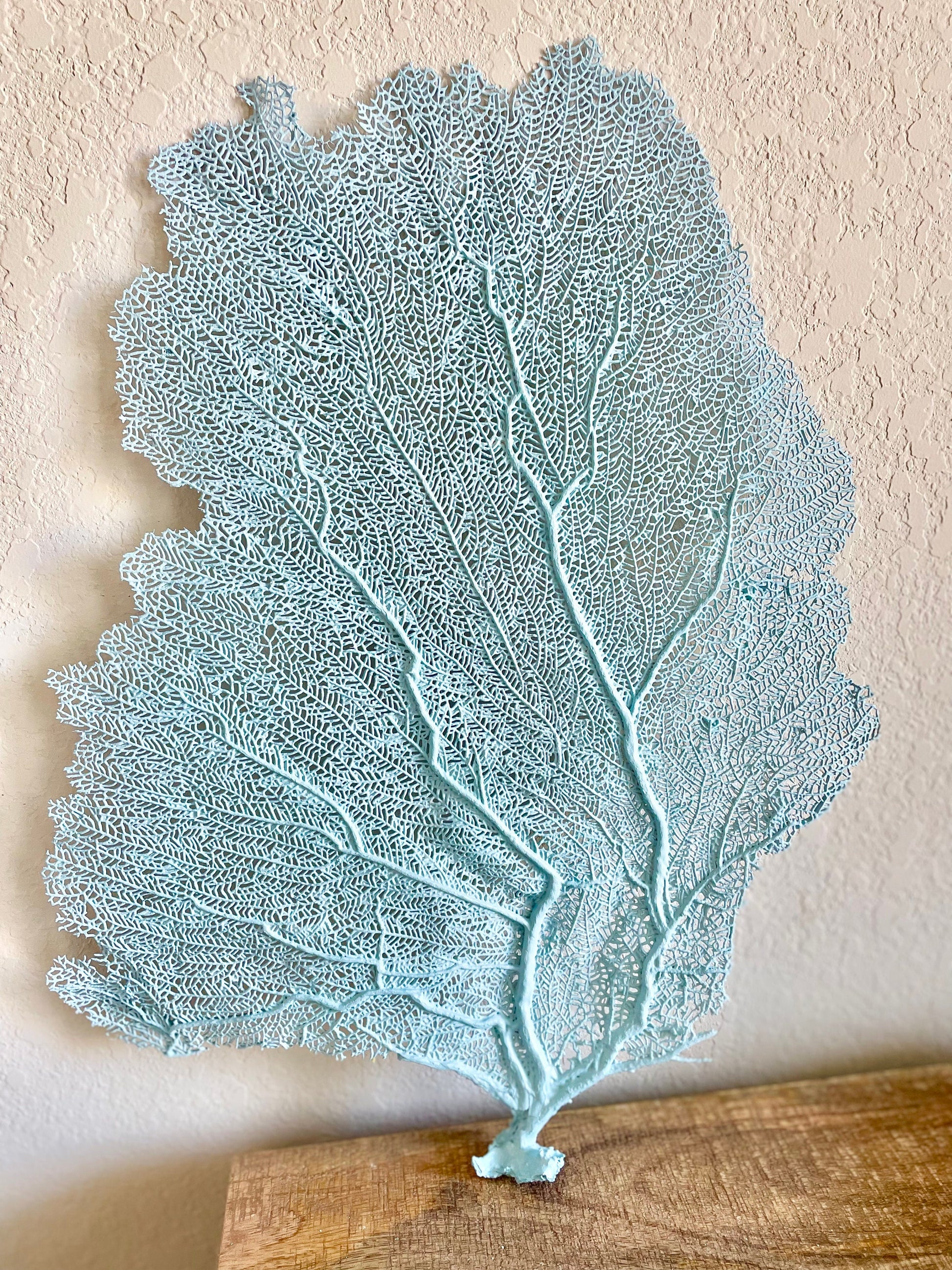 Natural Dried Real Sea Fans Painted LIGHT BLUE 8-20" You Choose Size Ocean Reef Decoration Natural Beach Coastal Décor Display