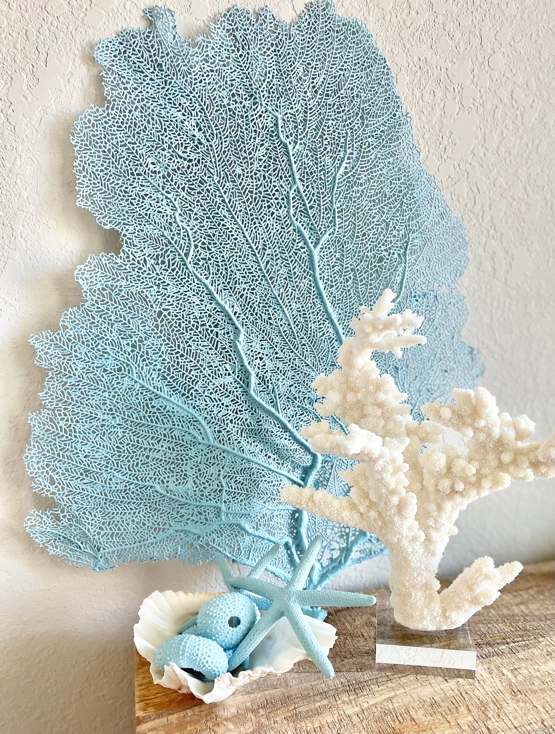 Light Blue Sea Fan 10-16" *You Choose Size* Natural Hand Painted Coastal Décor