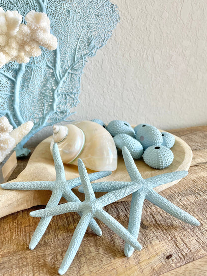 Natural Dried Real Sea Fans Painted LIGHT BLUE 8-20" You Choose Size Ocean Reef Decoration Natural Beach Coastal Décor Display