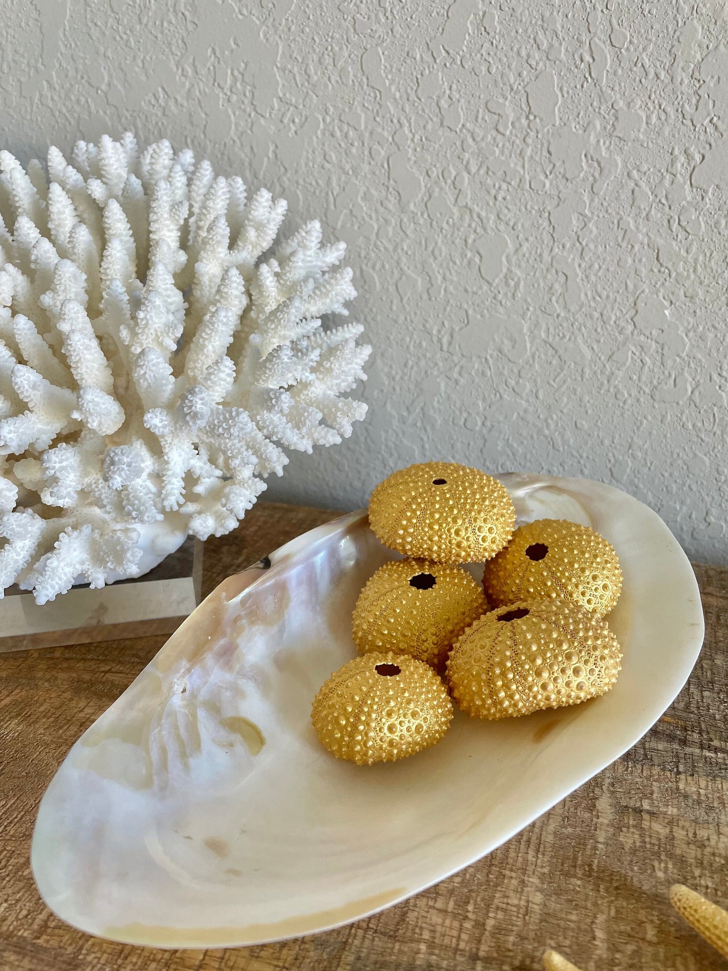 Natural Dried Real Sea Fans Painted GOLD 8-20" You Choose Size Ocean Reef Decoration Natural Beach Coastal Décor Display