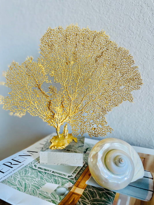 Gold Sea Fan (8-20") *You Choose Size* Natural Hand Painted Coastal Décor