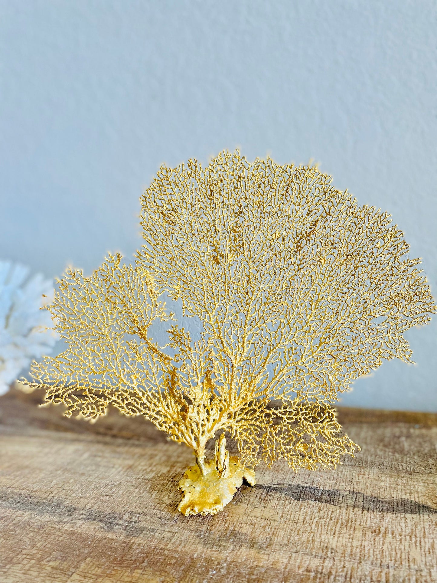 Gold Sea Fan (8-20") *You Choose Size* Natural Hand Painted Coastal Décor
