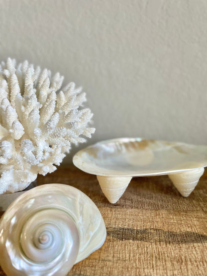 Mother of Pearl Footed Mussel Dish 7-8" Iridescent Seashell, Coastal Décor