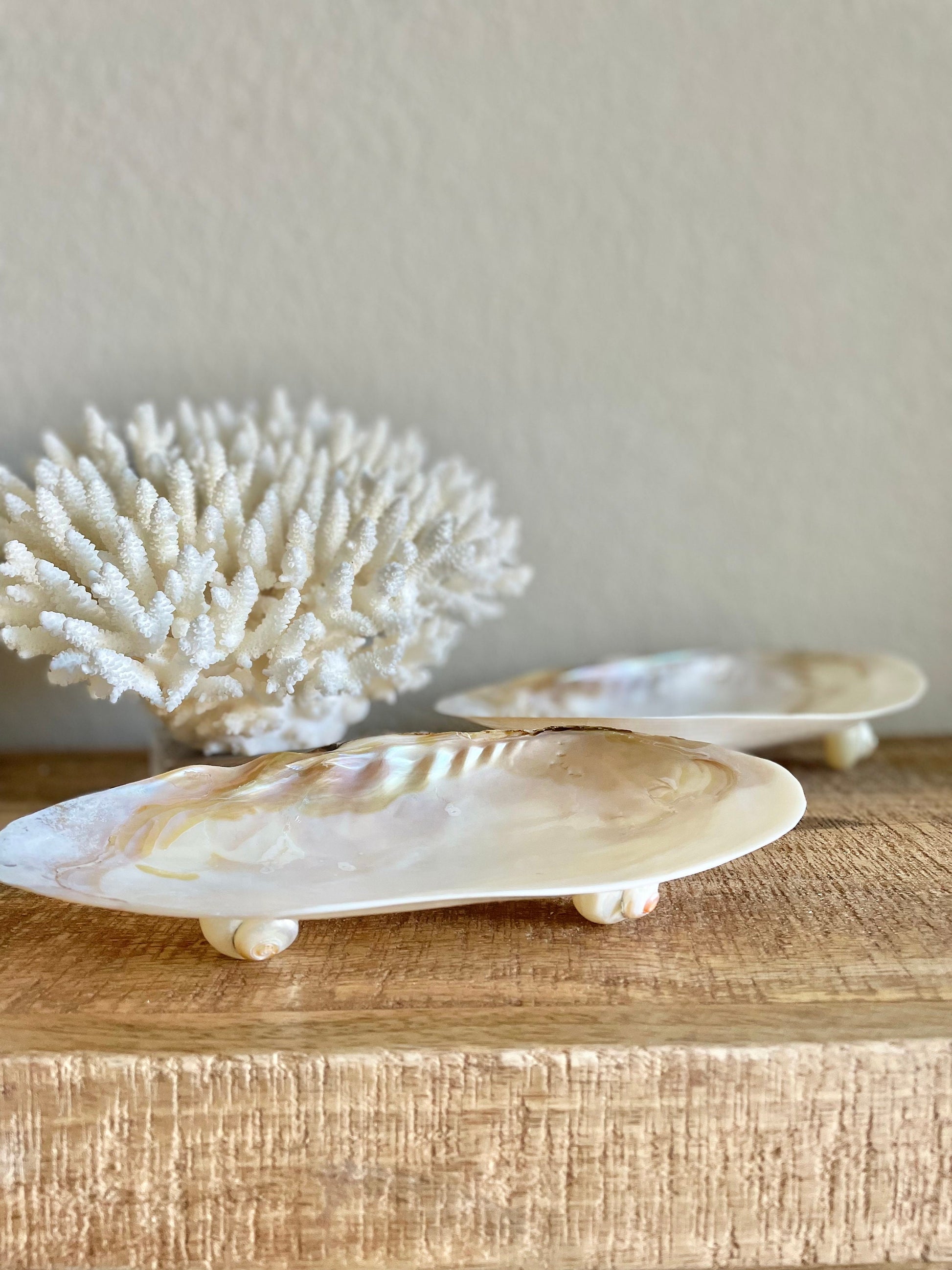 Mother of Pearl Footed Mussel Dish 7-8" Iridescent Seashell, Coastal Décor