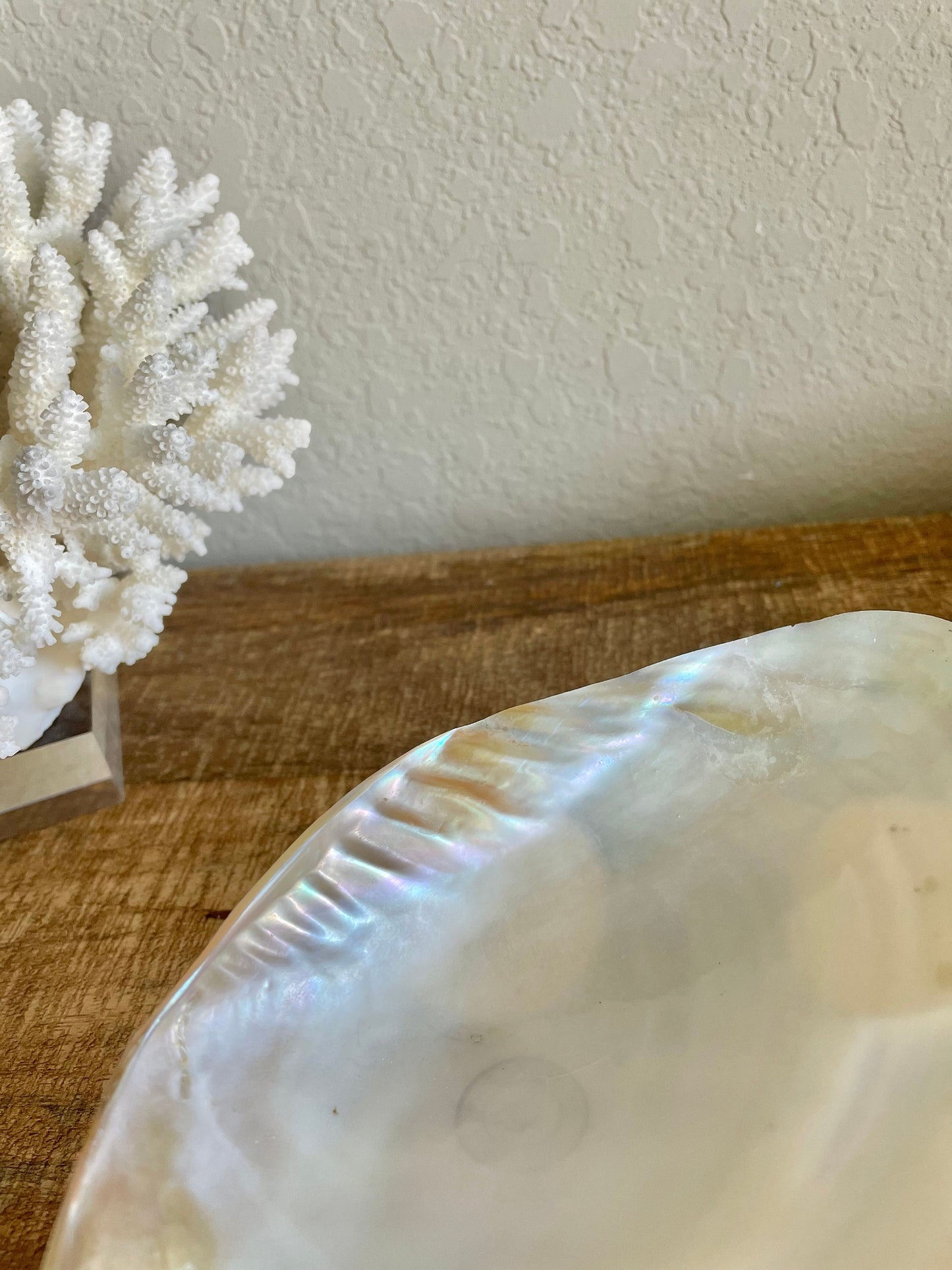 REAL Mother of Pearl 7-8" Irredescent Giant Mussel Decorative Bowl Seashell Footed Jewelry Dish Beach Table Coastal Décor Clam Gift